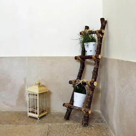 Alojamento de Acomodação e Pequeno-almoço Dimora De Brado